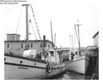 Draggers "Romerly" and "Althea and Bick" Tied Up at a Maine Wharf
