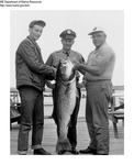 James Lee of Burlington, MA and Maine Coastal Warden Walter Gray with a Striped Bass