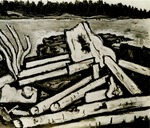 Ghosts of the forest Front of Photograph