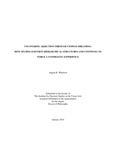 Uncovering Abjection Through Utopian Dreaming: How Techno Subverts Hierarchical Structures and Continues to Forge A Synergetic Experience