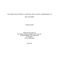 CONTAMEDIATION; IDENTITY OF THE IGBO AFRICAN MASK AS EMBODIMENT OF SELF AND SPIRIT by Omenihu Amachi