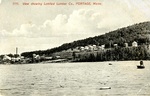 Lemfest Lumber Company, ca. 1910
