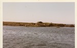 Seals on Island 1.4