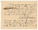 David Richardson's affidavit on the character of Andrew P. Lewis during his residence in Skowhegan