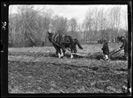 Genre- Ploughing Field (N.J.) by George French