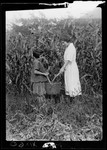 Tots- Corn- Florence In Corn 2 Girls Hold Basket In Cornfield by George French