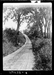 Roads- View Up Road To House On Top Of Hill, Deerfield, N.H. by George French
