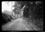 Road By Bentons by George French