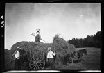 Haying- Men Pile Hay On Wagon At Olin's Place by George French