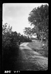 [man Walking On Tree Lined Road] by George French