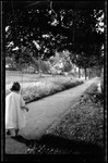 Tots Barb On Walk by George French