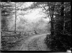 Road Through Woods And A Rough Log Fence. by George French