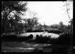 Large Garden Beside George French's Home In N. J. by George French