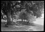 Couple Sitting On Park Bench Beside The Potomac River by George French