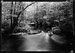 Brook In Intervale Woods. by George French