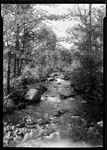 Brook In Center Ossipee. by George French