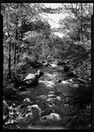 Brook In Center Ossipee. by George French