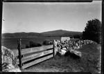 Stone Wall And "Bars" Gate, Mountains Distance. by George French