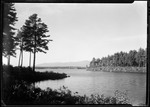 Lake Winnepisaukee Pines Along The Shore. by George French