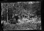 Photo Of A Man Photographing A Moose (Poor Quality) by George French