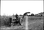 Man Harvesting Corn With A Tractor by George French