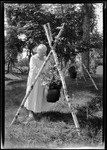 George French's Mother Tending A Plant Suspended For A Plant Hanger (Teepee) Made Of Birch Poles by George French