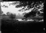 Misc N.J Or MassachusettsBack Yard Pond by George French