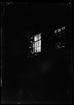 Lit Windows Of All Homestead At Night by George French