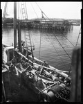 Men Removing Fish From Large Fishing Boat In Rockland Harbor by George French