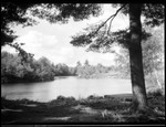 View Of Glen, Framed By A Pine Branch, Canoe On Shore Next To A Tree-- Porter by George French