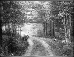 Road Deep In Woods, Williams Road In Lovell by George French