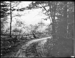 Wooded Road With Rail Fence, Goes Around Corner--Lovell by George French