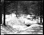 Snow, Young Pines, Brook In Kezar Falls by George French