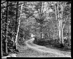 Scenic Road Through Woods In Meredith, N.H., Wooden Gate On Left by George French