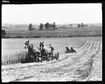 Two Horse Drawn Hay Mowers Come Across Field In Central New York by George French