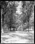 Mall, Showing Many Trees And Buildings At Bates College by George French