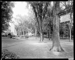 View Of Tree Filled Mall, Part Of Bldg On Left, Bates College Sign On Right by George French