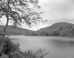 Lake View From Under Birch Tree, Mountains On Far Side On Hosmer Pond by George French