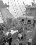 Unloading Commercial Fishing Vessel At Rockland by George French