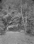 Road Goes By Wooded Setting Near Lake Chocolate N.H. by George French
