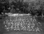 Many Heads Stick Out Of Water At Camp Wavus Swim by George French