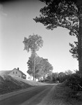 Road Goes By House On Left, Car In Road On Right, Tall Trees Both Sides In Limerick by George French