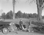Robert Harmon & Fred Haul Deer Over To Car In Parsonsfield by George French