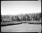 View Of New Hampshire Mountains From Juniper Lodge, Chocorua by George French