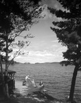 Two Couples Getting Ready To Go Boating At Moosehead by George French