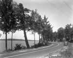 Blacktop Road Along Shore Of Tripp Lake by George French