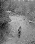 Man Fly-Fishing A Stream ( Averril Fish ) by George French