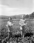 Two Little Girls, Mavis & Laura, Hold Boxes Full Of Strawberries While Standing In Patch by George French