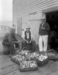 Two Men Sit On Dock Near Building, Another Watches Them Shucking Clams At Five Islands by George French