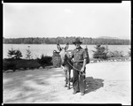 Man With A Burro Loaded With Pack Baskets For A Picnic At Severance Lodge by George French